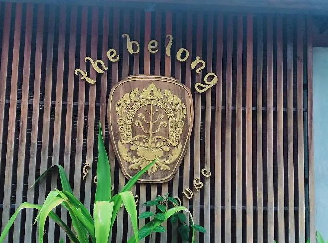 The Belong By Sila Dharma Mesari Management Canggu