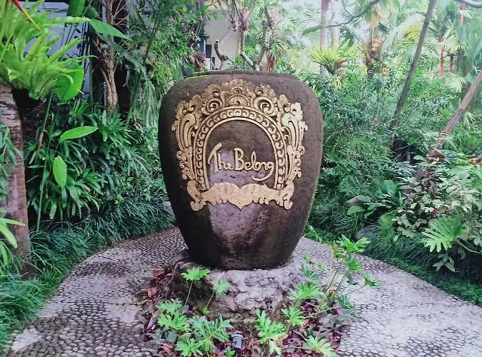 The Belong By Sila Dharma Mesari Management Canggu