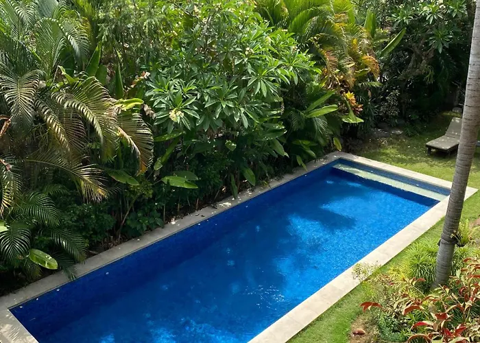 The Belong By Sila Dharma Mesari Management Canggu