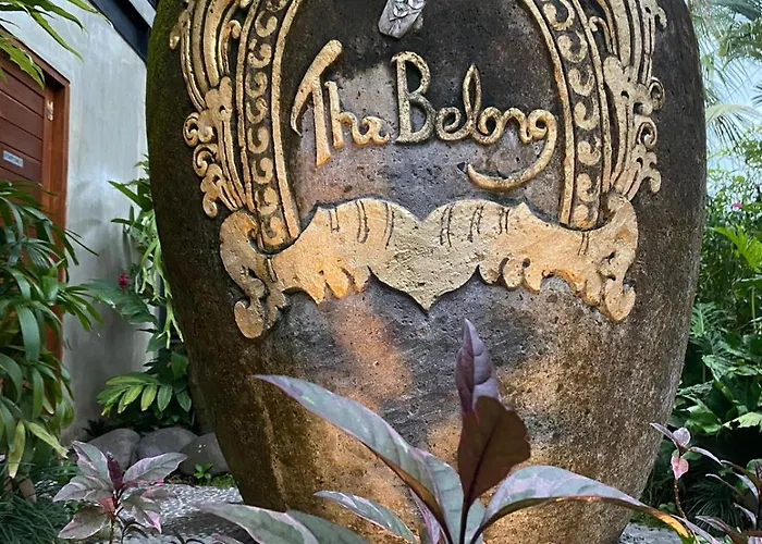 The Belong By Sila Dharma Mesari Management Canggu